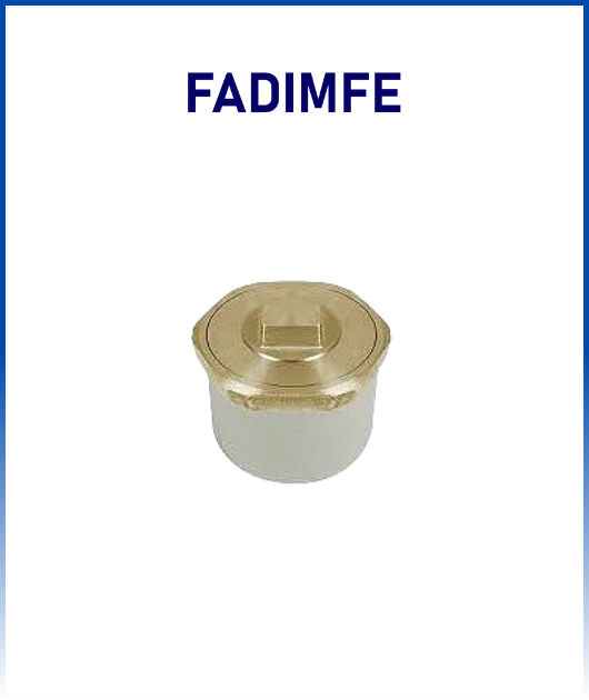 REGISTRO DADO 3 BRONCE FADIMFE