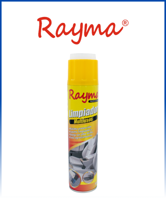 LIMPIADOR  MULTIUSOS RAYMA PROFESSIONAL