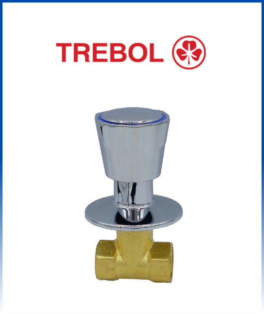 (610000452) DUCHA LLAVE ECO EMPOTRADA S/SALIDA TREBOL