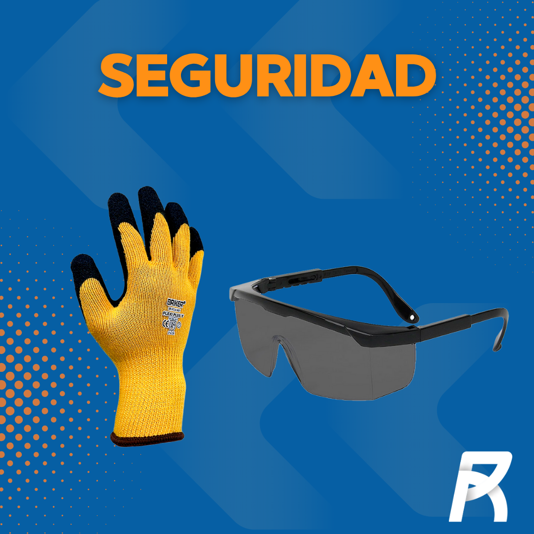 SEGURIDAD